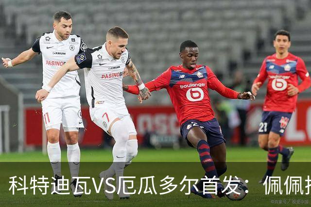 科特迪瓦VS厄瓜多尔首发：佩佩搭档扬-迪 凯塞多领军